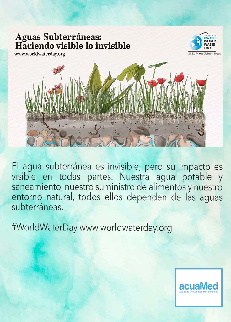 Día Mundial del Agua Poster 2